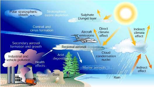 Organik kirleticilerin atmosfer ve canlılar üzerine etkileri 2.