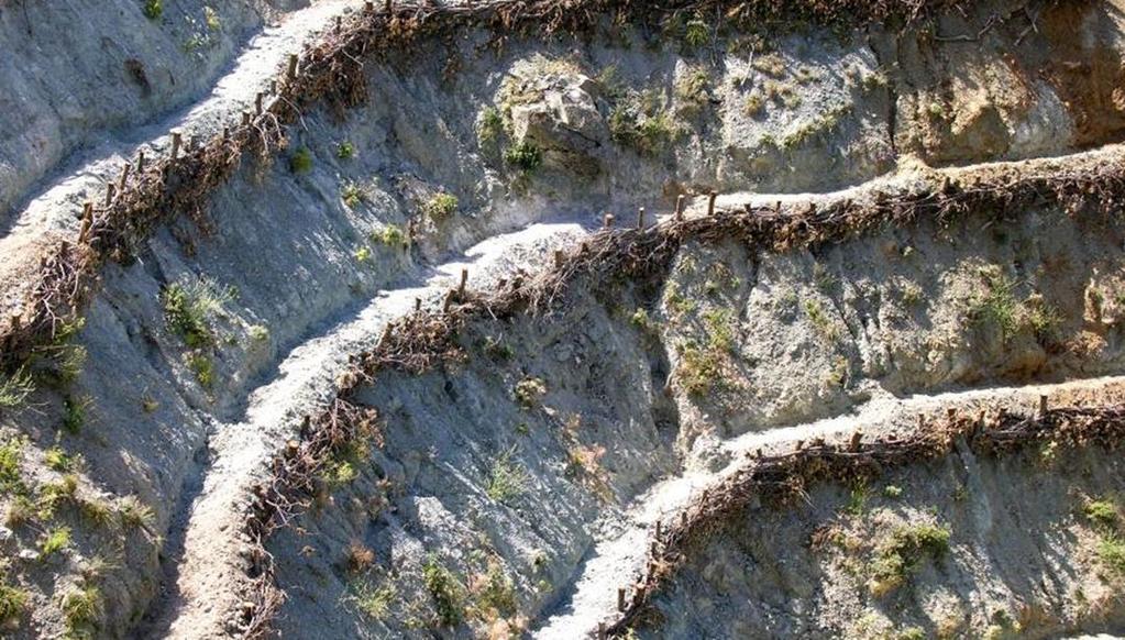 Örme Çitler: Örme çitlerin yararları; Çıplaklaşmış yamaç yüzeylerindeki hareketli toprağı bağlamak, Yağmur sularının akışını