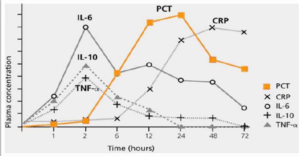 PCT yükselişi infeksiyon başladıktan 2-6 saat 6-12 saate pik Yarılanma