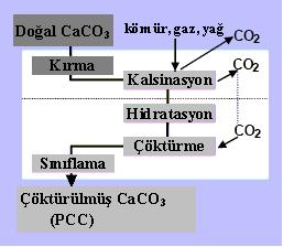 3.2 Sentetik Kalsiyum Karbonat (PCC) PCC (Precipitated Calcium Carbonate), çöktürülmüş kalsiyum karbonat olmakla beraber, aynı zamanda saflaştırılmış, rafine veya sentetik kalsiyum karbonat anlamına