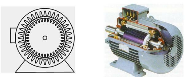 olarak havadan devresini tamamlarken büyük kısmı stator nüvesi, stator ve rotor arasındaki hava boşluğu ve rotor nüvesi üzerinden devresini tamamlar [1].