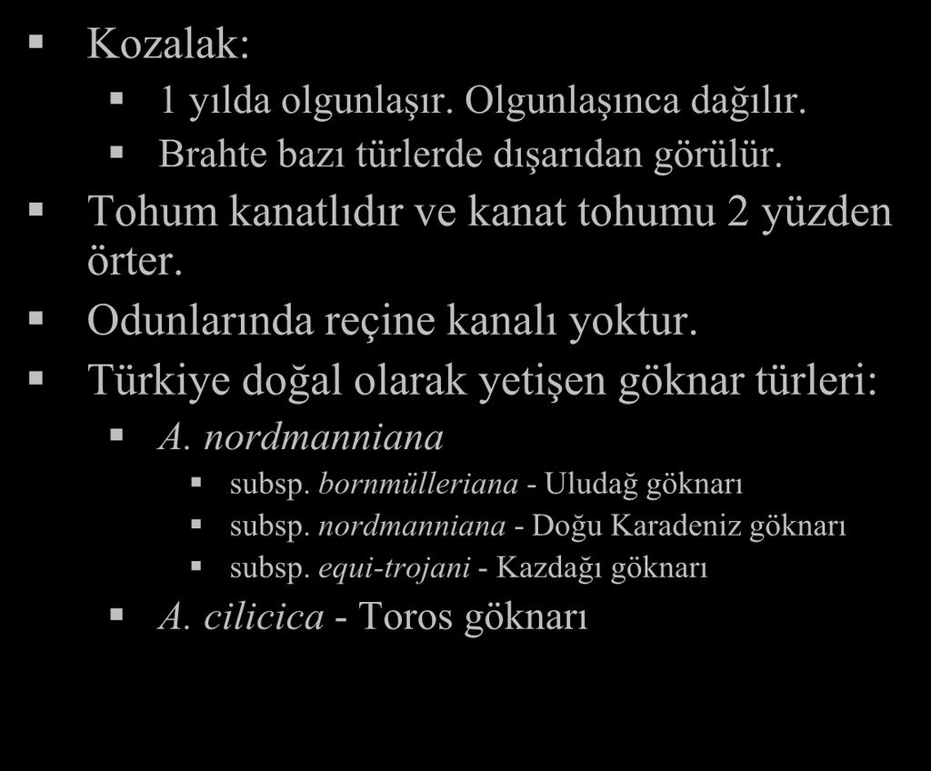 Abies (Göknar) Kozalak: 1 yılda olgunlaşır. Olgunlaşınca dağılır.