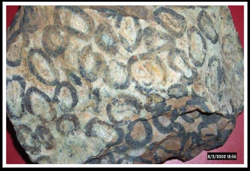 3) Halkalı yapı Cevher minerallerinin bilezik veya halkalar halinde bulunduğu yapılardır.