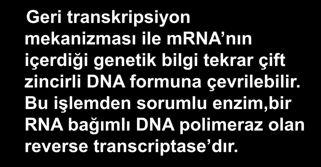 Geri transkripsiyon mekanizması ile mrna nın içerdiği genetik bilgi tekrar çift zincirli DNA formuna