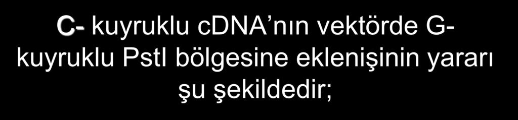 C- kuyruklu cdna nın vektörde G- kuyruklu PstI bölgesine eklenişinin yararı şu şekildedir; 1.