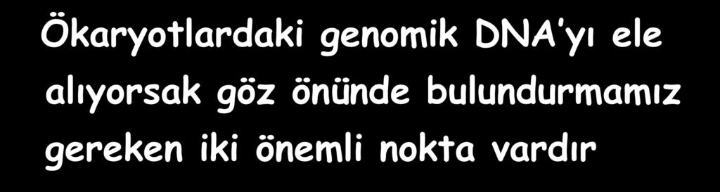 Ökaryotlardaki genomik DNA yı ele alıyorsak göz