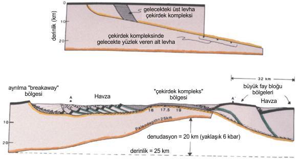 çökelleri ile yan yana getirmesidir. Yüksek dereceli kayaç yüzlekleri, tümüyle yüksek dereceli kayaçlarda gözlenen normal faylar içermekle birlikte kubbe şekilli ve antiform geometrisine sahiptir.