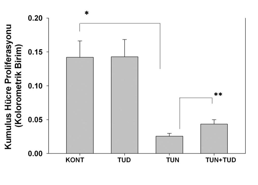 proliferasyonun, TUDCA ve tunikamisin birlikte uygulanan grupta anlamlı olarak 2 kat daha yüksek seviyede olduğu tespit edildi (p>0.001)(grafik 1). Grafik 1.