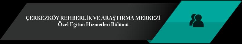 Zorunlu öğrenim çağındaki özel eğitime ihtiyacı olan bireylerden okul öncesi, ilköğretim veya özel eğitim programlarından birini