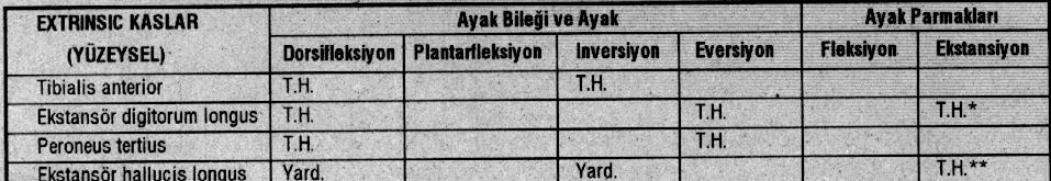 AYAK