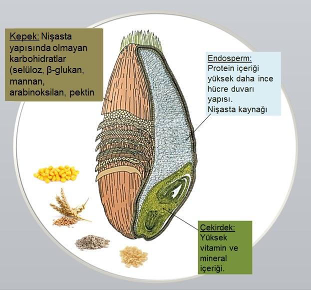 Karbohidrazlar Naturazyme Broiler ve Naturazyme Layer, hücre duvarındaki polisakkaritlerin sindirimini sağlayan β-glukanaz (E.C 3.2.1.73), pektinaz (E.C 3.2.1.15), selülaz (E.C 3.2.1.4), mannanaz (E.