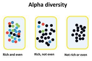 Alfa çeşitlilik vs.