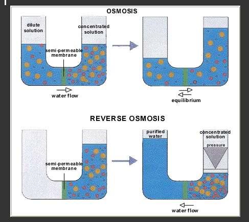 REVERSE OSMOSIS (TERS OSMOS) Eriyik haldeki birçok organik ve inorganik maddelerin (%95-98),