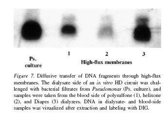 Bakteriyal DNA.