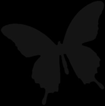 Anthonomus amygdali (Badem gözkurdu) Sınıf: Insecta Takım: Coleoptera Fam: Curculionidae Tanınması: Erginleri 3-4mm boyunda, vücutları kahverengi, ön kanatlarında ise erkeklerde gri, dişilerde