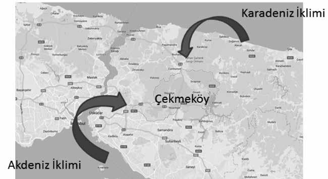 Şekil 2: Çekmeköy de iklim geçişleri Çekmeköy de arıcılık 1520 yılından günümüze kadar devam etmektedir.