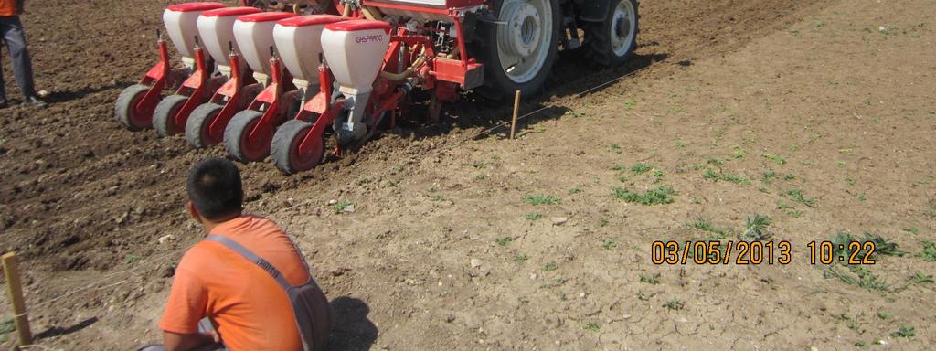 Tohum ekimi deneme alanına bir bütün olarak 9 Nisan 2013 tarihinde yapılmıştır. Deneme alanının tamamına 45 cm sıra aralığı, 8 cm sıra üzeri olacak şekilde pönomatik mibzer ile ekilmiştir.