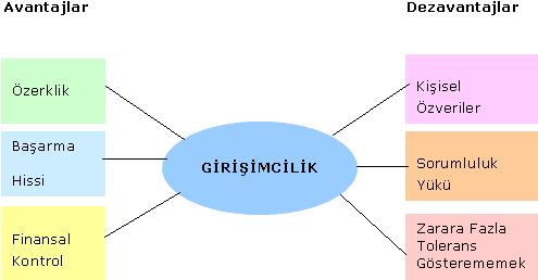 ve çocuklarına göre ayarlamaları mümkün olmaktadır. Evde yerleşik girişimlerin kabusa dönmemesi için bunu yaşam tarzına uygun ve aile desteği alan kişilerin istemesi en uygundur.