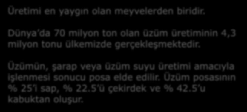 Dünya da 70 milyon ton olan üzüm üretiminin 4,3