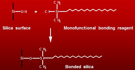 Silika Bağı-Monomerik Tek noktadan