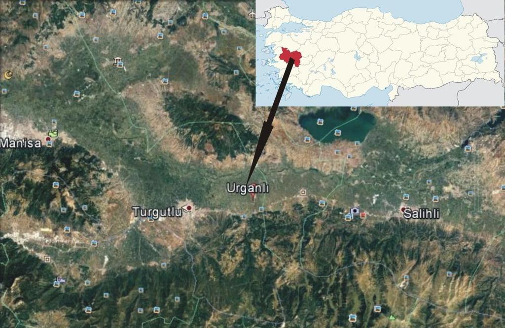 Çalışma alanı Manisa ili Turgutlu ilçesi sınırlarında bulunan Urganlı jeotermal alanında bulunmaktadır. (Şekil 1.1) de yer bulduru haritası verilmiştir.