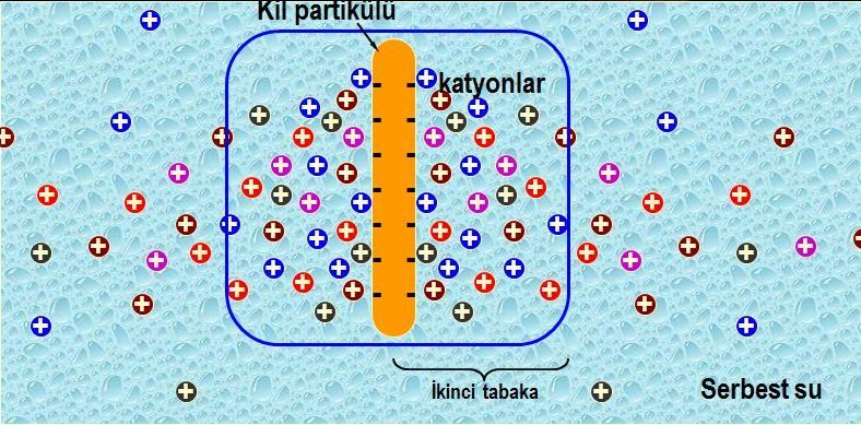 Kil danelerinin yüzeyinde ve su molekülleri ile kimyasal maddelerde birbirinden farklı elektrik yüklerinin mevcut olması sonucu aralarında elektriksel çekim ve itki kuvvetleri ortaya çıkmaktadır.