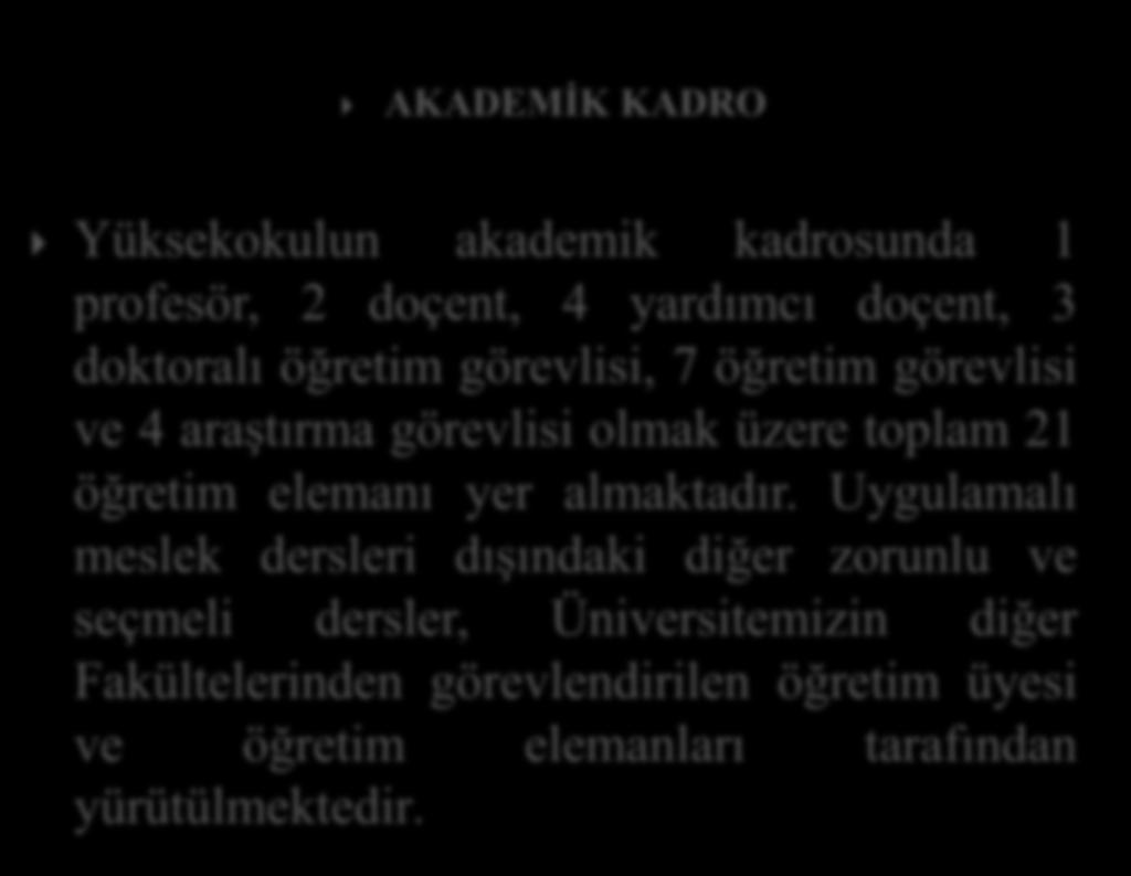 AKADEMİK KADRO Yüksekokulun akademik kadrosunda 1 profesör, 2 doçent, 4 yardımcı doçent, 3 doktoralı öğretim görevlisi, 7 öğretim görevlisi ve 4 araştırma görevlisi olmak üzere toplam 21 öğretim