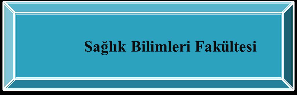 1996 tarihinde imzalanan protokol dayalı olarak 1997-1998 Eğitim-Öğretim yılında Uludağ Üniversitesi Sağlık Yüksekokulu na devredilen Bursa Anadolu Sağlık Meslek Lisesi binasında Ebelik ve Hemşirelik