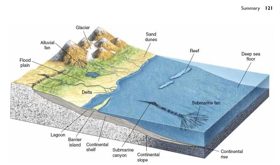 TORTUL KAYAÇLAR Var olan kayaçlar buzul, akarsular ve rüzgarlar vasıtasıyla aşınmakta ve denizler gibi çeşitli çökelme ortamlarında birikmektedir. Bu olaya tortulaşma (çökelme) adı verilir.