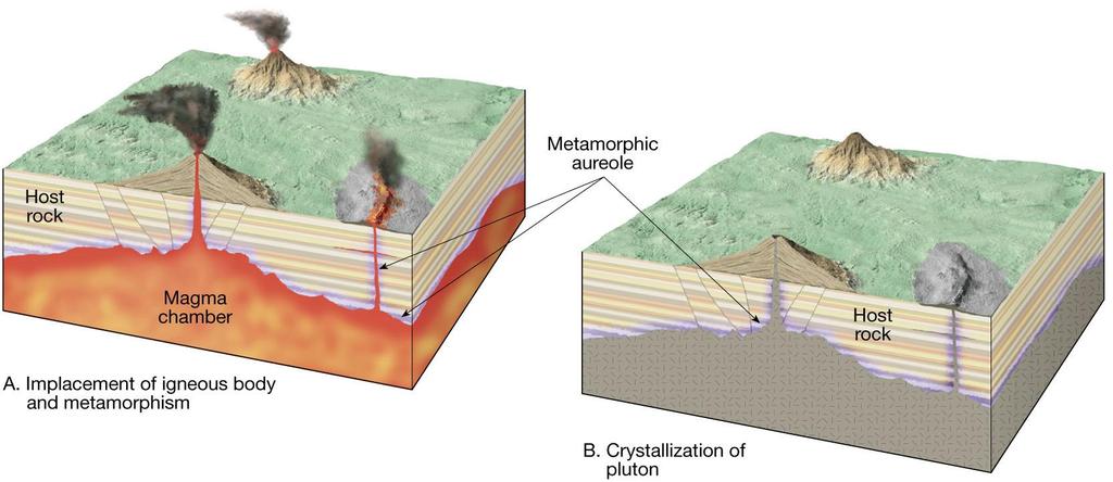 METAMORFİZMA TÜRLERİ KONTAK METAMORFİZMA Sıcak bir magma kütlesinin çevresinde meydana gelir.