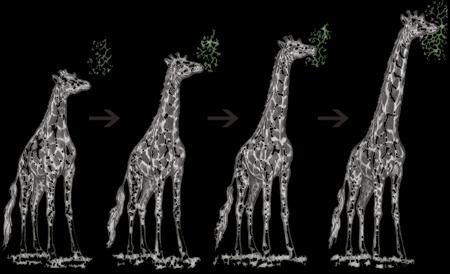 örnek: Çevre şartları değiştiğinde ağaç yapraklarını yemek isteyen zürafalar ağaçlara uzanmışlar ve boyunları uzamış.