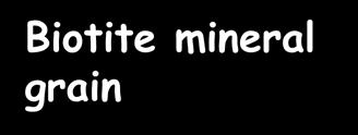 although mafic pegmatites can form.