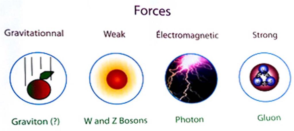 Temel Kuvvetle Kütle çekimi Zayıf Elektomanyetik Güçlü Gaviton W ve Z bozonlaı oton Gluon Aacı paçacıkla Temel kuvvetleden bahsedeken etkileşme teimini kullanmak daha doğu olu.