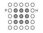 32. Yukarıda verilen şekle göre, P ve H beyaz dairelerinin her ikisinden de görülen siyah
