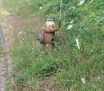 TEST VE BAKIMDA KARŞILAŞILAN PROBLEMLER HİDRANT SİSTEMİ: Storz adaptörü kaybolmuş ve çalınmış bir hidrant