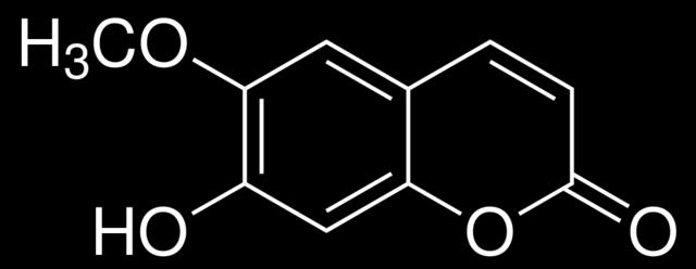 A. officinalis çiçeklerinde ayrıca naringenin-4-o-α-d-glukozit ve hipoletin-4-metileter-8-o-β-d-glukozit 78 ve naringenin-4-o-glukozit belirlenmiştir 79. 2.2.1.2.3. Kumarinler A.