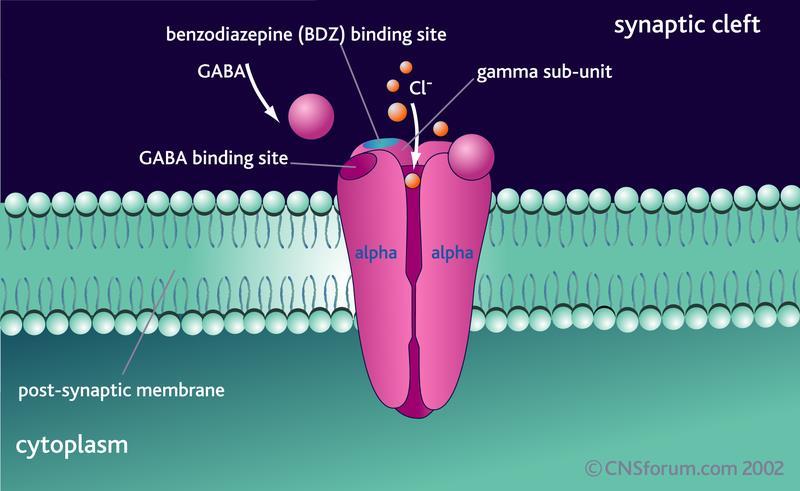 Benzodiyazepinler Noradrenalin