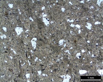6 no lu örnek ignimbrit olarak adlandırılmış olup, öz şekilsiz biyotit, mika ve feldispat grubu minerallerinin yanı sıra