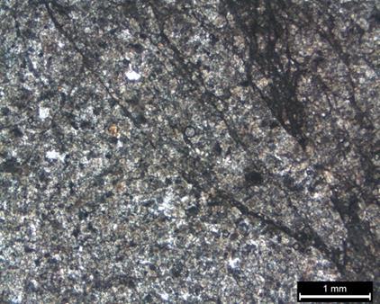 Hamurda mikrolit oranı çok yüksektir ve opak mineraller de gözlenmektedir.