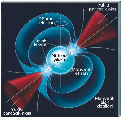 Gözlenen Nötron Yıldızları: Atarcalar 1967 de İngiltere'de iki gök bilimci, Bell ve Hewish, 1.