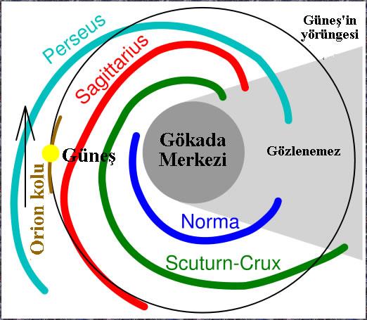 Optik ve radyo gözlemleri Saman Yolu'nun 3 ana sarmal kolunun olduğunu göstermiştir. En içte Sagittarius, daha sonra Orion ve en dışta Perseus sarmal kolu bulunmaktadır.