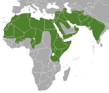 Anadolu ya denk gelen bazı hayvan ve bitki türlerinin