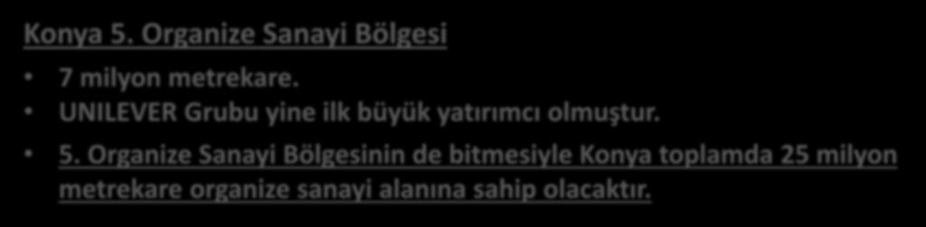 UNILEVER Grubu yine ilk büyük yatırımcı olmuştur. 5.