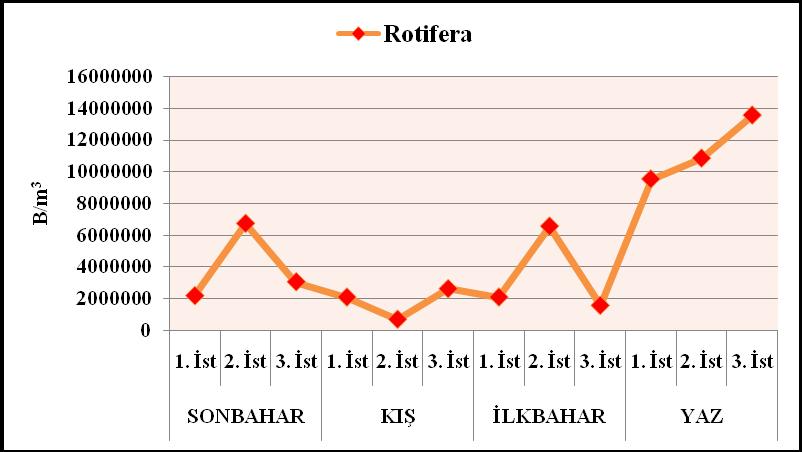 ÇalıĢma süresince Rotifera grubuna ait türlere her mevsim ve her istasyonda rastlanılmıģtır. Rotifera nın istasyonlara ve mevsimlere göre dağılımına bakıldığında m 3 de en fazla birey sayısı 3.