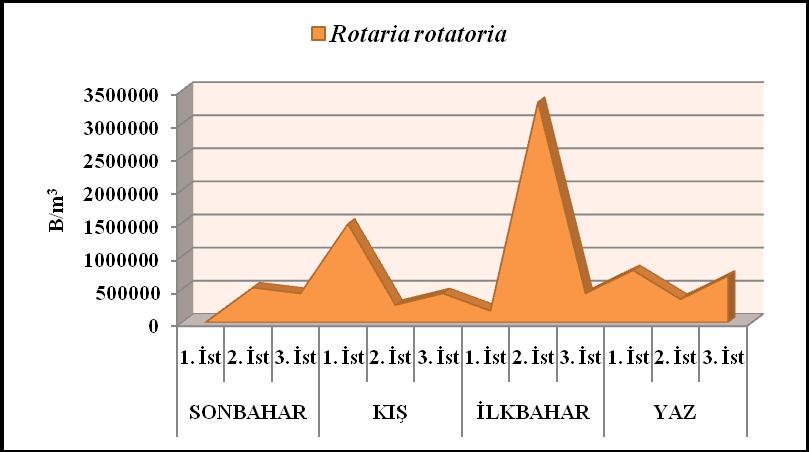 Rotaria rotatoria nın istasyonlara ve mevsimlere göre dağılımı incelendiğinde m 3 de en fazla birey sayısı 2. Ġstasyonda 3.325.000 ile Ġlkbahar mevsiminde görülmüģtür.