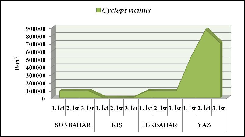 ġekil 4.9 Cyclops vicinus un mevsimlere ve istasyonlara göre dağılımı 4.