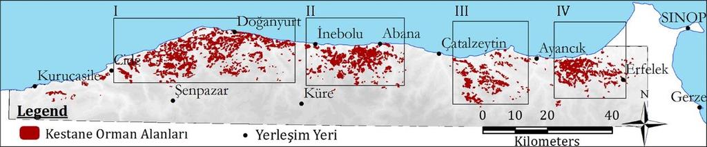 Karadeniz bölgesinde sahilden başlayarak 1200 m ye, Ege bölgesinde (Kütahya-Simav) yer yer 1800 m lere kadar çıkmaktadır.