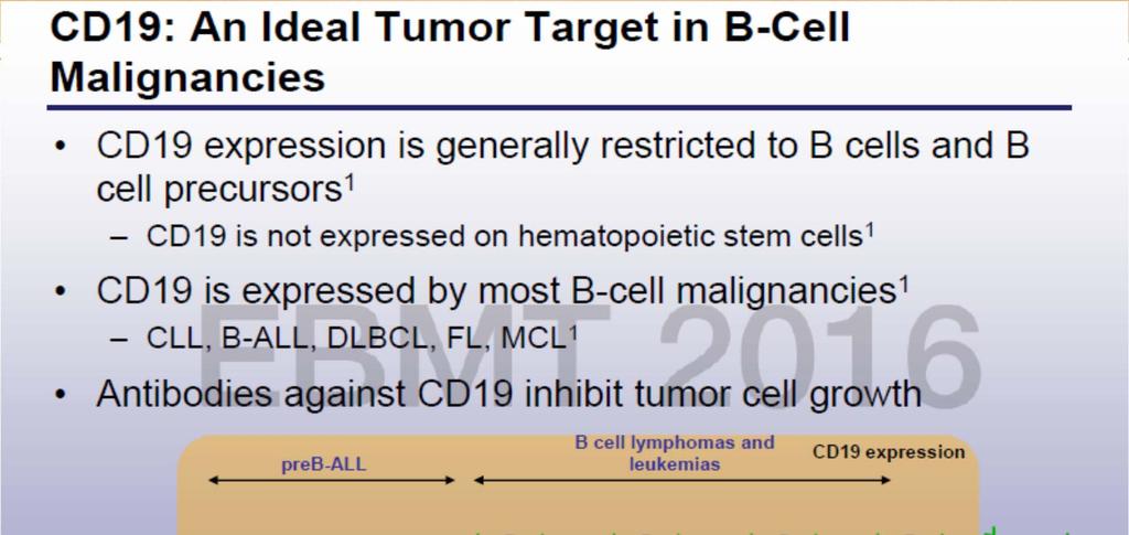 CD 19: B hücre malnitelerinde ideal tümör hedefi Hematopoietik kök