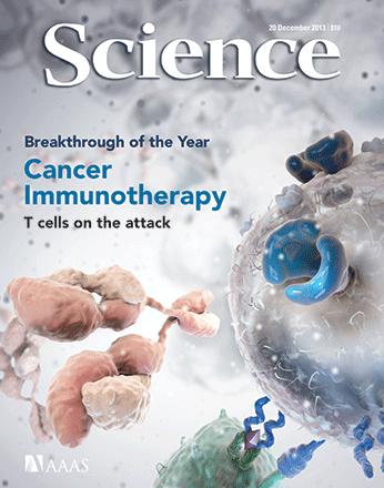 Science dergisi, 2013'ün en önemli gelişmesini Kanser immunoterapisi olarak belirledi.