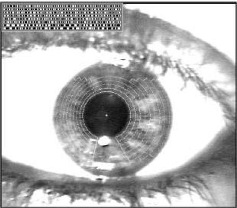 Halqalar Şırımlar Çillər Bu texnologiyadan istifadə üçün verilənlər bazasında göz nümunələri olmalıdır.